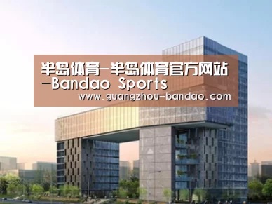 案例展示四