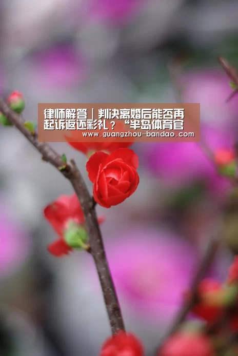 半岛体育官网